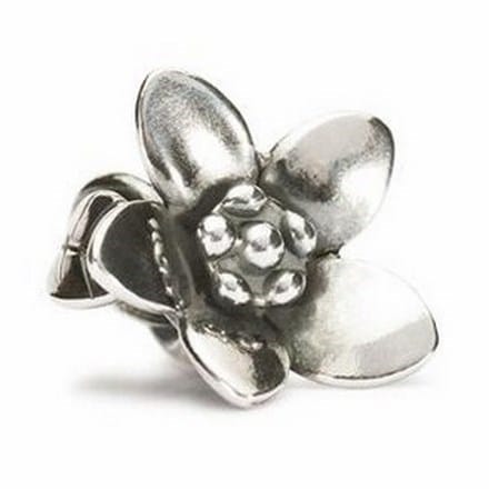 TAGBE-40038 GEMMA FIORITA