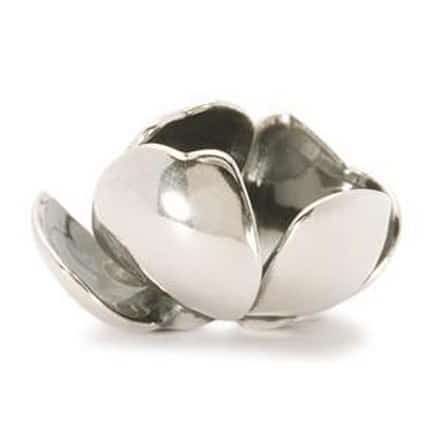 TAGPE-00002 FIORE MISTERIOSO