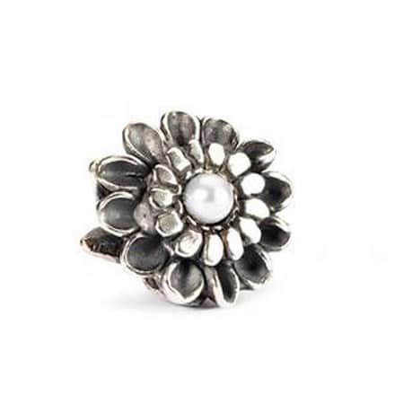 TAGBE-00037 CRISANTEMO DI NOVEMBRE