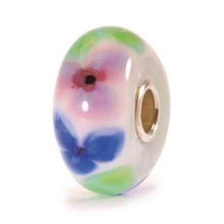 TGLBE-10245 ANEMONE FRANCESE