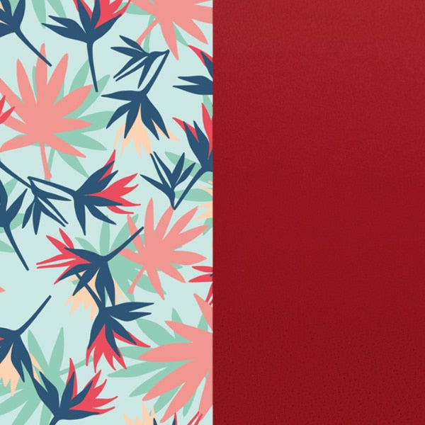 702145799P2000 CUIR 40MM OISEAUX PARADIS /FRAMB