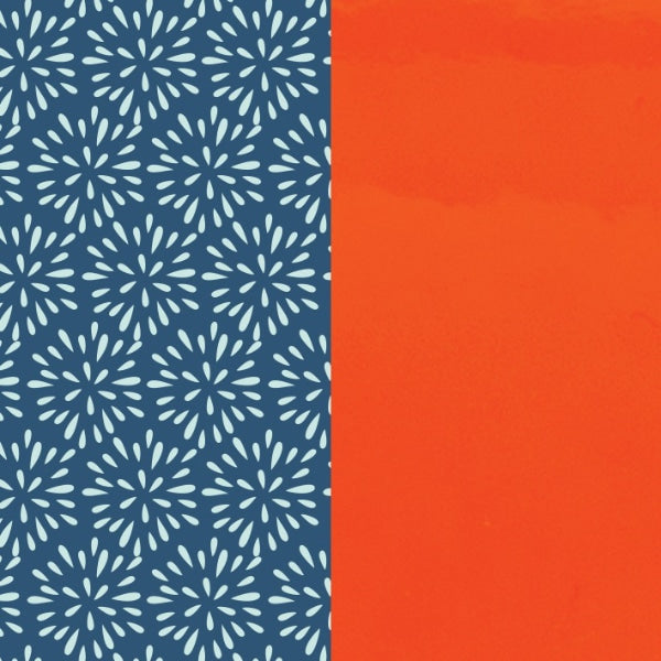 702755199P6000 PLUMETIS ORANGE VERNIS 25MM