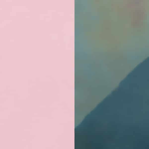 703018584CV000 INSERTI PELLI ANELLI ROSA E VIOLA