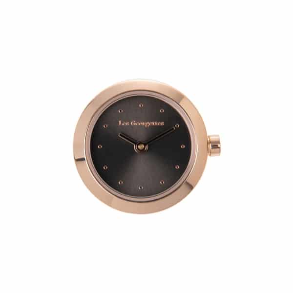 703405337I1000 BOI ROSE ABSOLUE RONDE 21