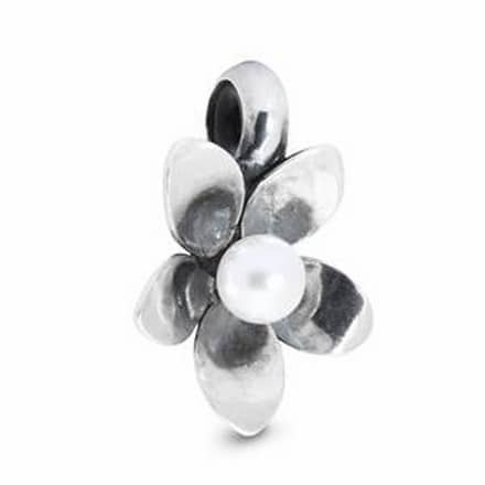 TAGBE-00214 STOP FIORE DEL VENTO