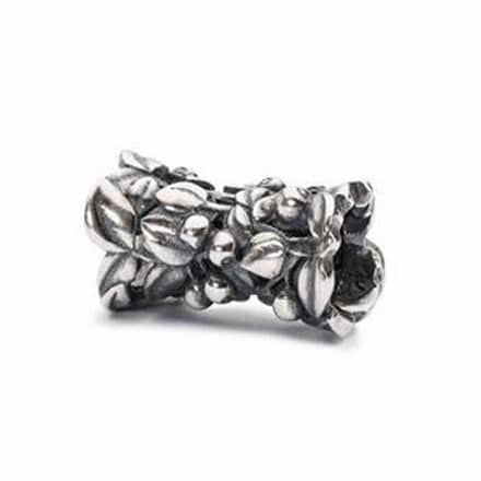 TAGBE-20111 BACCHE DI MIRTILLO