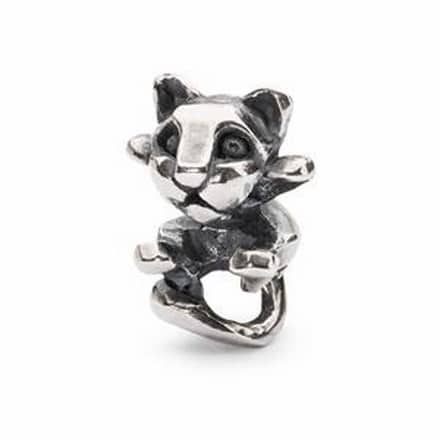 TAGBE-20113 CUCCIOLO DI GATTO