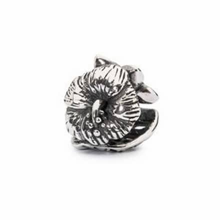 TAGBE-20118 VIAGGIO TROPICALE