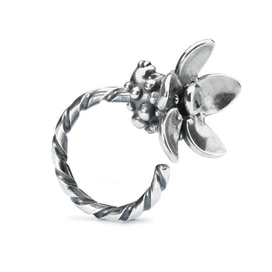 TAGPE-00062 REGINA DEL BOSCO