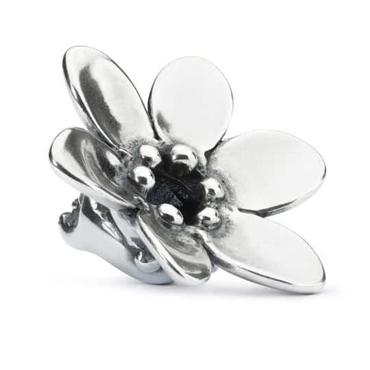 TAGPE-00063 TROLL DELLA SAGGEZZA