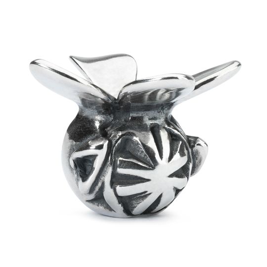 TAGPE-00064 TROLL DELLA CURIOSITA'