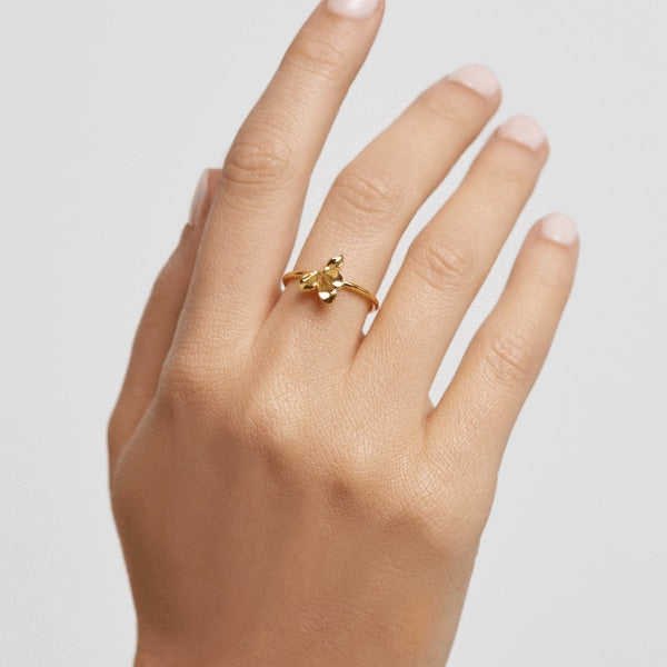 AN01-182-12 PDP BLOSSOM NARCISE GOLD SIZE 12