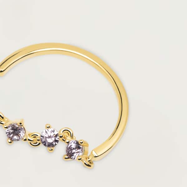 AN01-199-14 PDP CAVALIER VICTORIA MIS 14