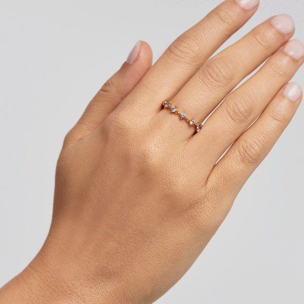 AN01-199-14 PDP CAVALIER VICTORIA MIS 14