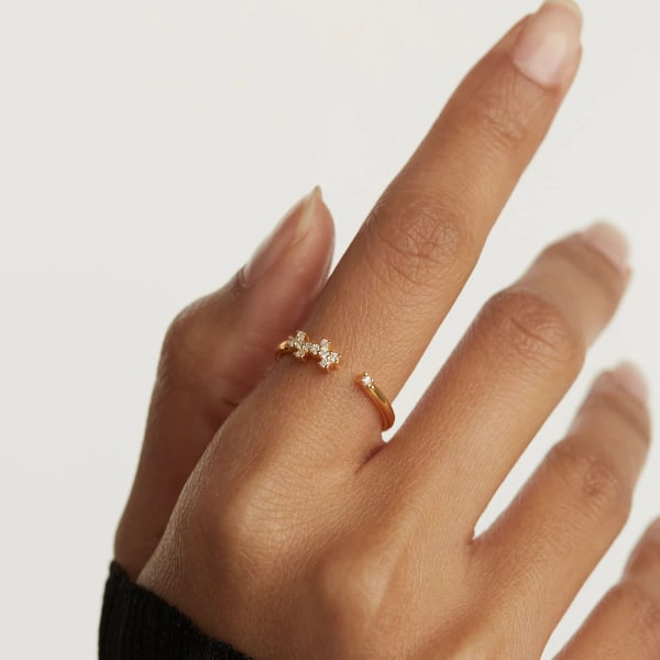 an01-672-14 gold prince ring