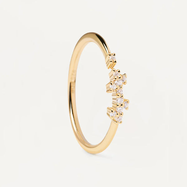 an01-672-14 gold prince ring