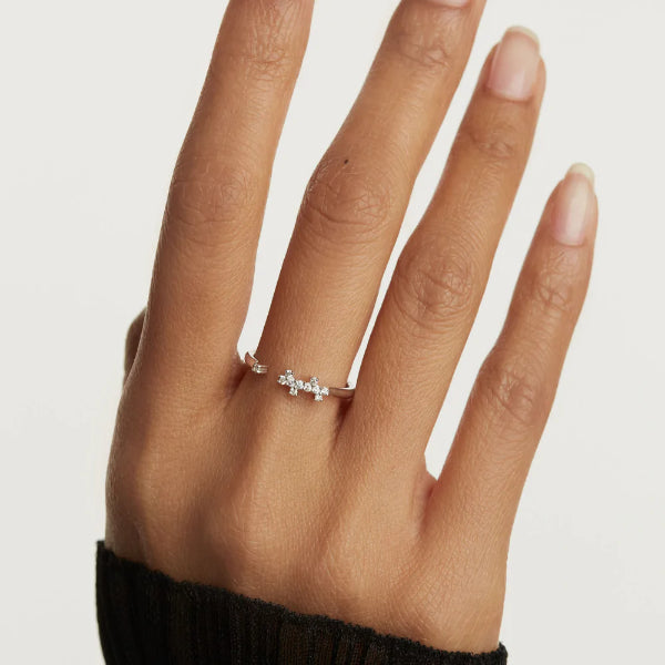 an02-672-14 silver prince ring
