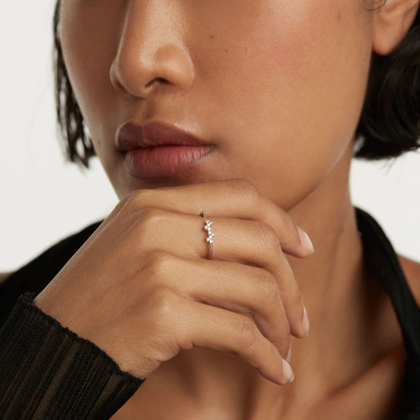 an02-672-14 silver prince ring