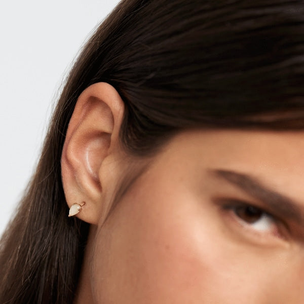 AR01-233-U PDP CAVALIER AMBER ECLAIR EARRINGS