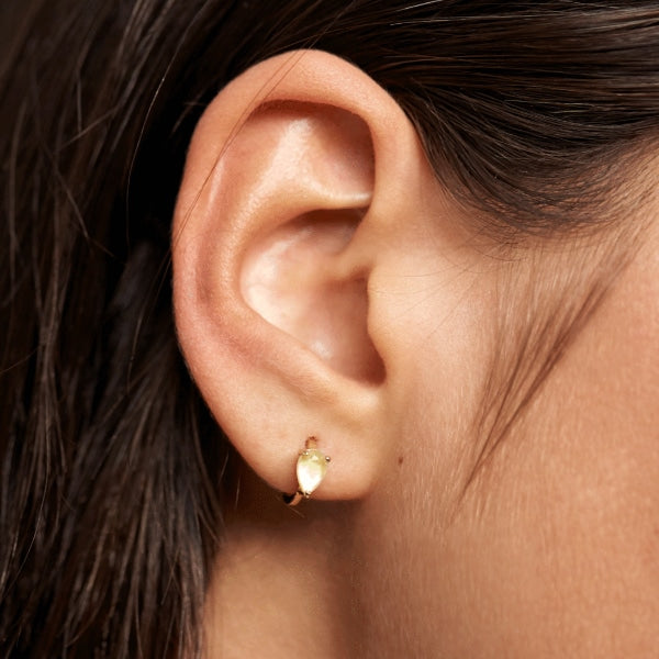 AR01-233-U PDP CAVALIER AMBER ECLAIR EARRINGS