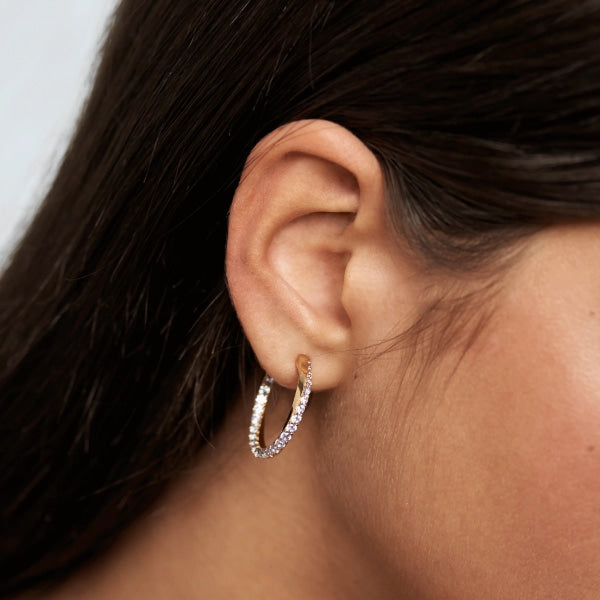 AR01-239-U PDP CAVALIER EARRINGS GOLD