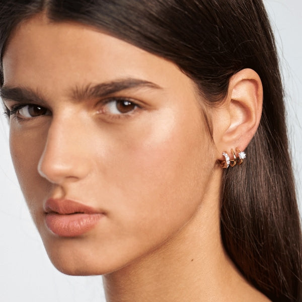 AR01-246-U PDP CAVALIER ROYAL EARRINGS