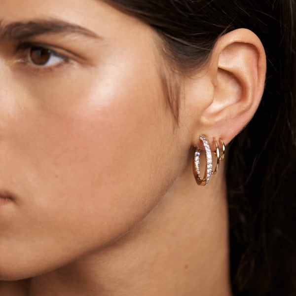 AR01-248-U PDP CAVALIER MAJESTICA EARRINGS GOLD