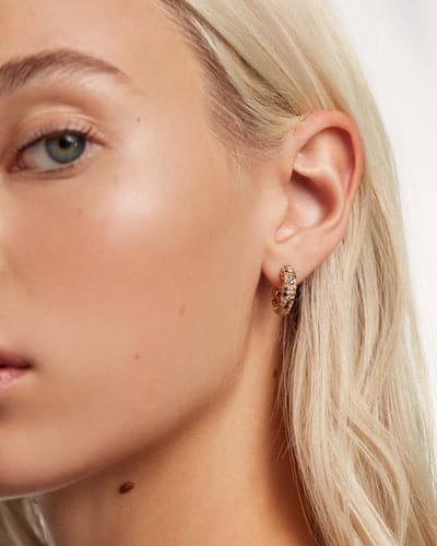 ar01-291-u Five tiger earrings