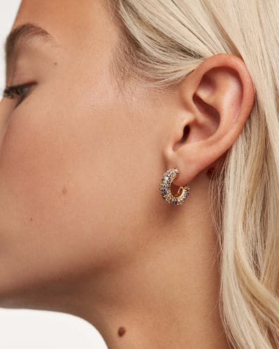 ar01-291-u Five tiger earrings