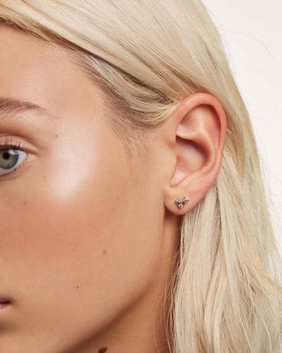 ar01-295-u Five fox Earrings