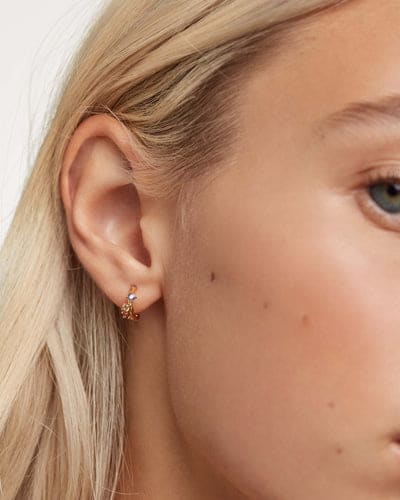 ar01-307-u Five pegasus Earrings