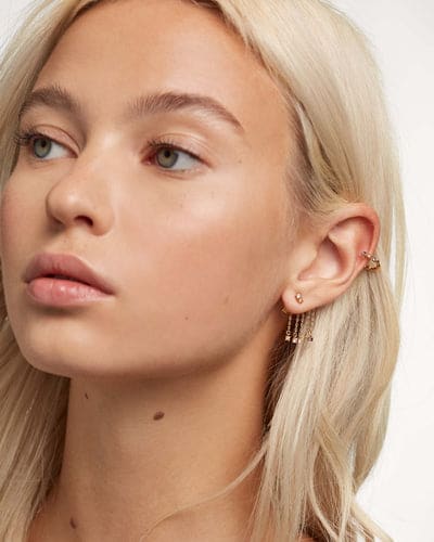 ar01-307-u Five pegasus Earrings