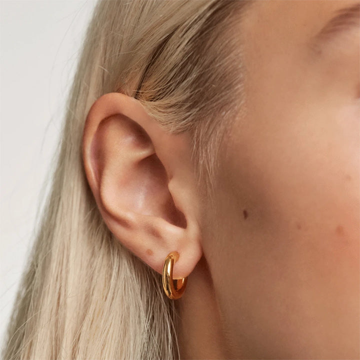 AR01-376-U PDP ESSENTIAL EARRINGS MINI CLOUD GOLD