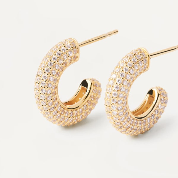 ar02-576-u orecchini silver king