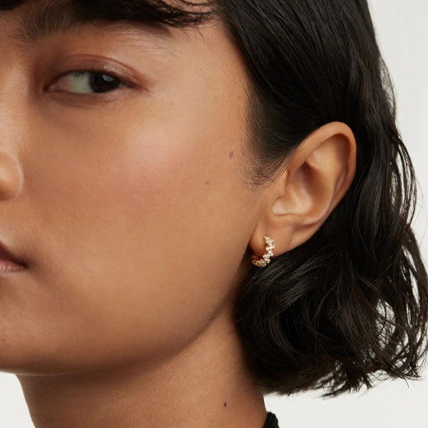 ar01-578-u gold little crown earrings