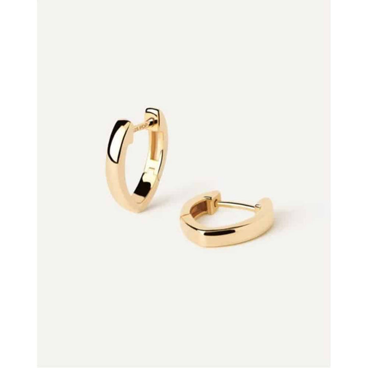 ar01-a16-u duke hoops earrings