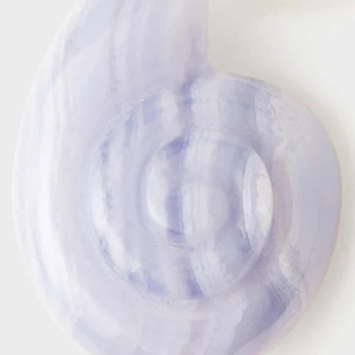 ar01-c40-u blue lace agate shell earrings