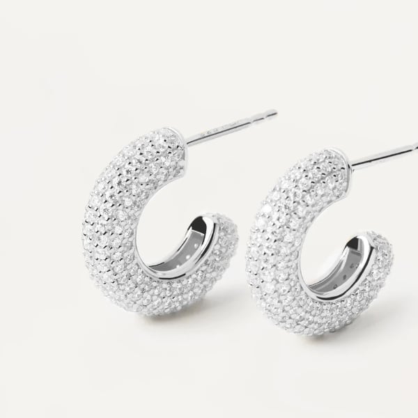 ar02-576-u silver king earrings