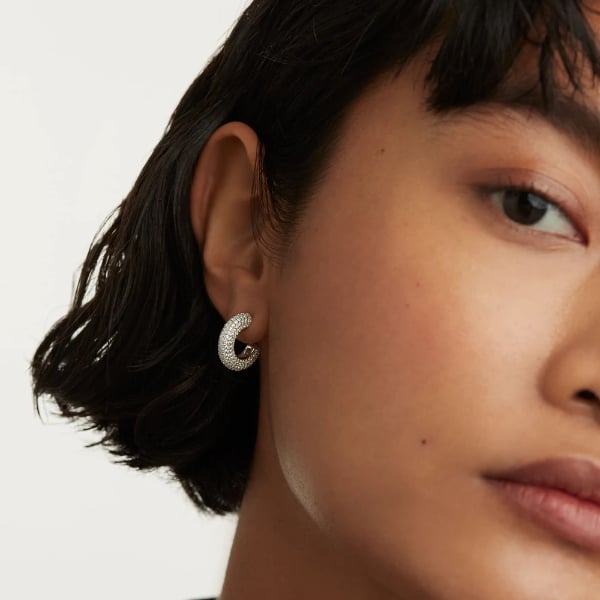 ar02-576-u silver king earrings