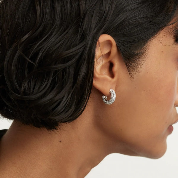 ar02-576-u silver king earrings