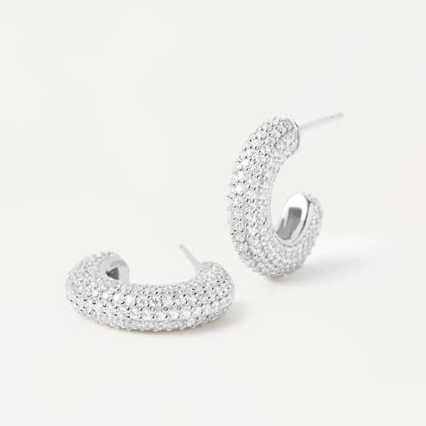 ar02-576-u silver king earrings