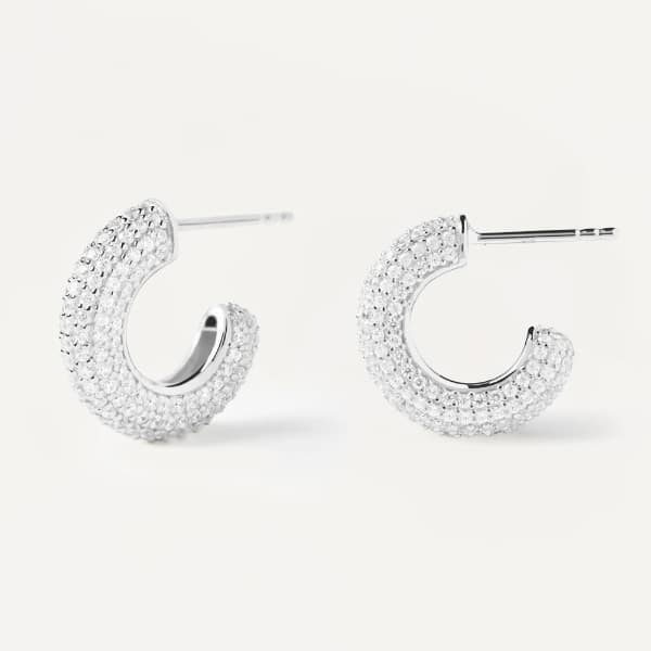 ar02-576-u silver king earrings