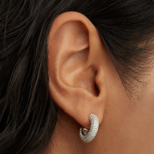 ar02-576-u silver king earrings