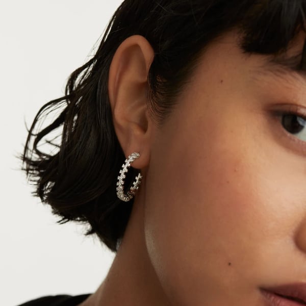 ar02-579-u silver crown earrings