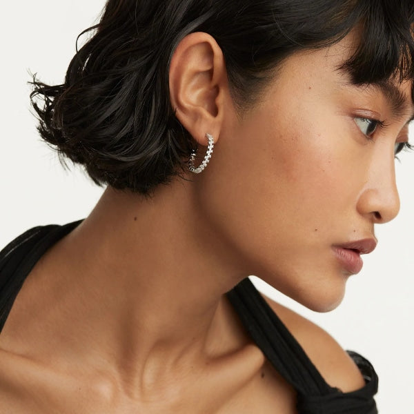 ar02-579-u silver crown earrings