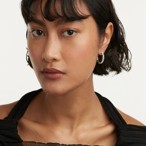 ar02-579-u silver crown earrings