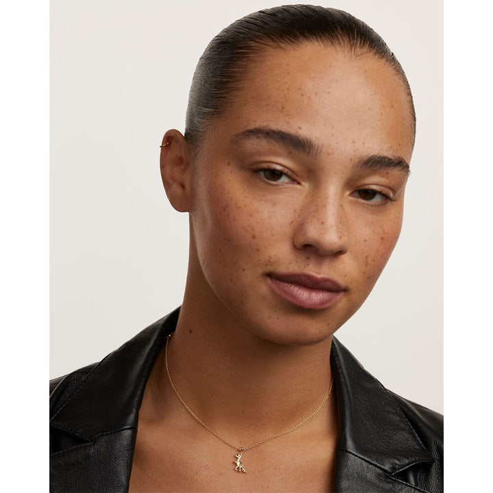 ch01-017-u PDP Charm Dino