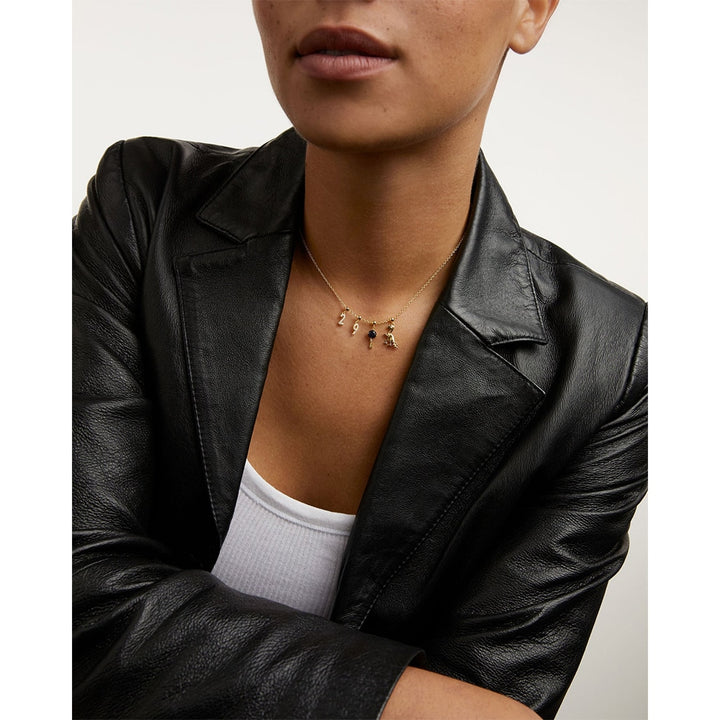 ch01-017-u PDP Charm Dino