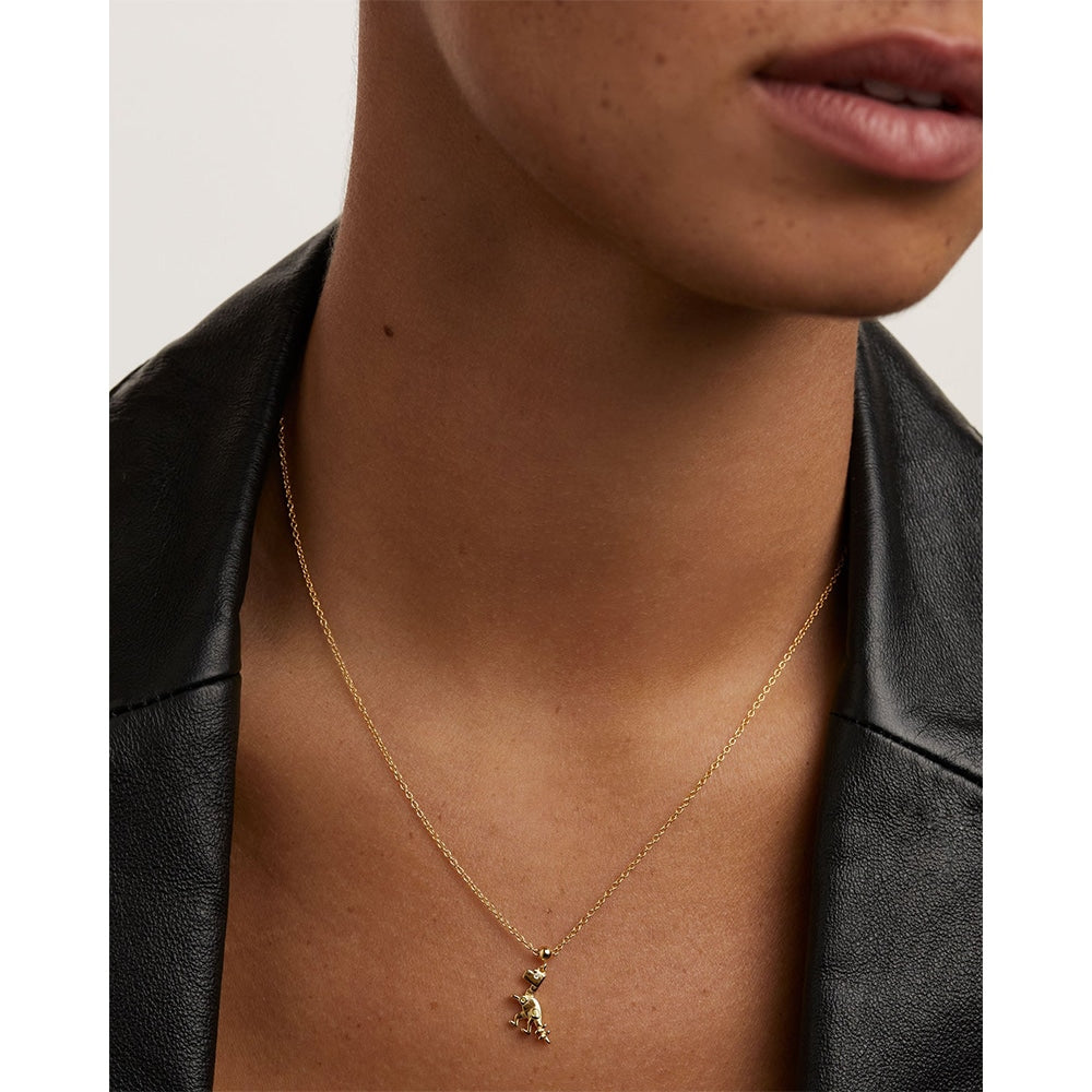 ch01-017-u PDP Charm Dino