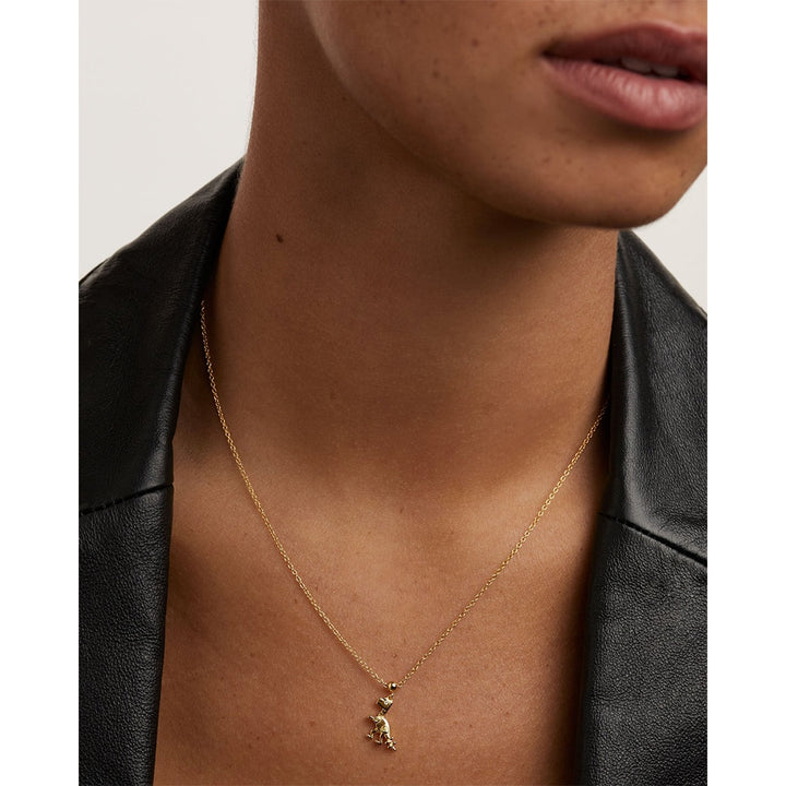 ch01-017-u PDP Charm Dino